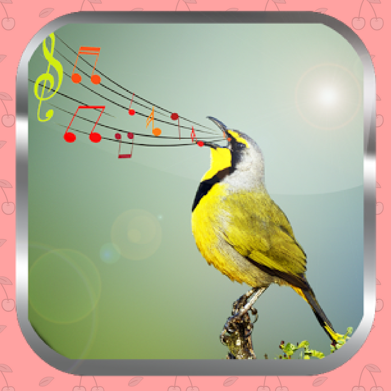 Звуки птиц. Звуковая птичка. Голоса певчих птиц. Открытка со звуком птиц.